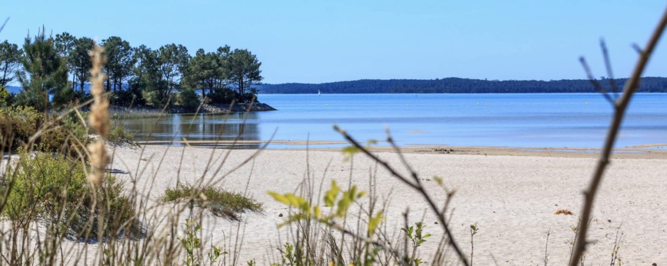 Le lac de Carcans